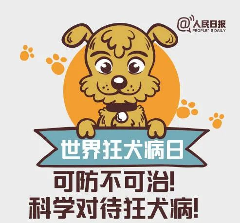世界狂犬病日|“知真相，不恐懼”，幫你解答狂犬病的7大誤區(qū)！